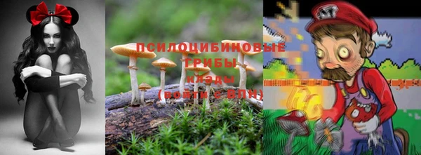 spice Нефтекумск