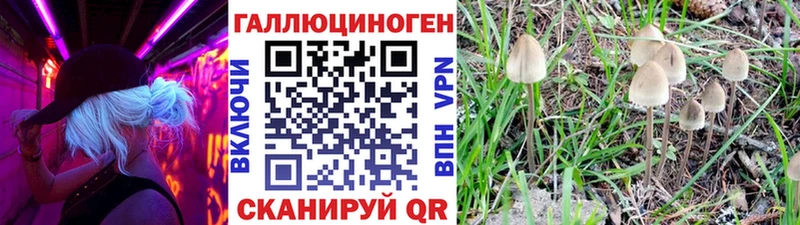 Галлюциногенные грибы мухоморы Лабытнанги