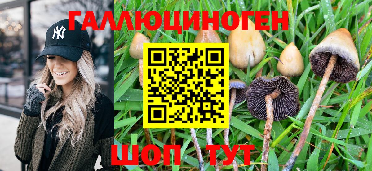 Псилоцибиновые грибы Cubensis  Лабытнанги  Галлюциногенные грибы Magic Shrooms 