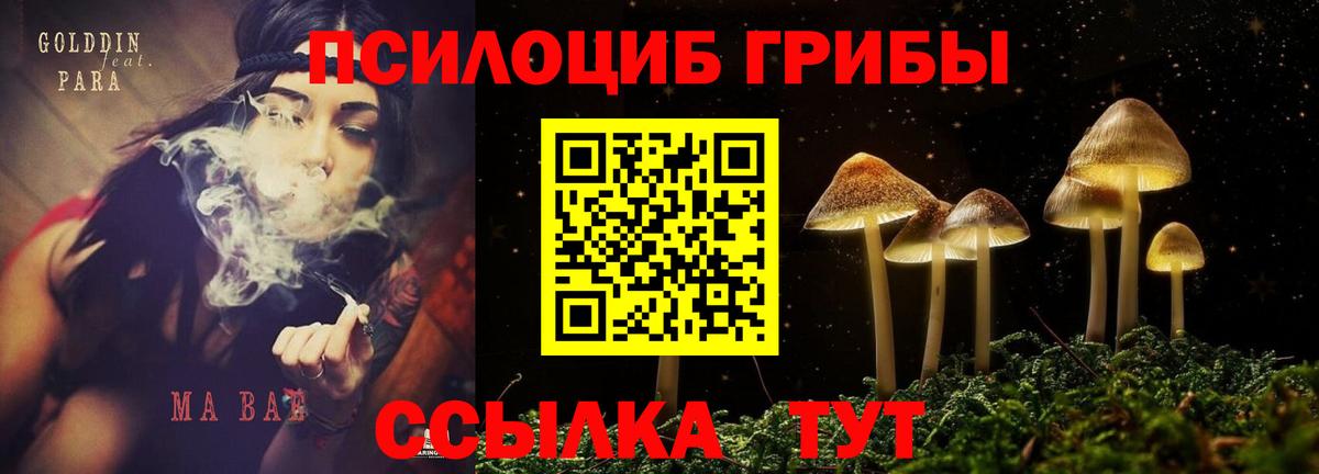 цены наркотик  Вход с VPN  Лабытнанги  Псилоцибиновые грибы прущие грибы 